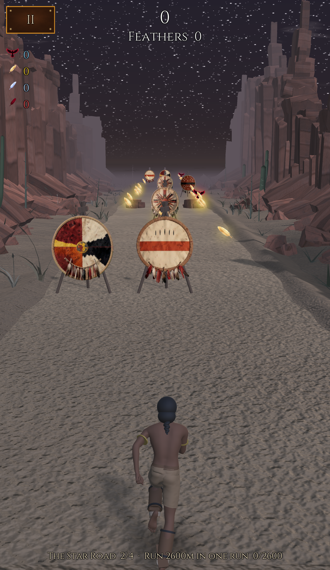 Running the canyon under a night sky